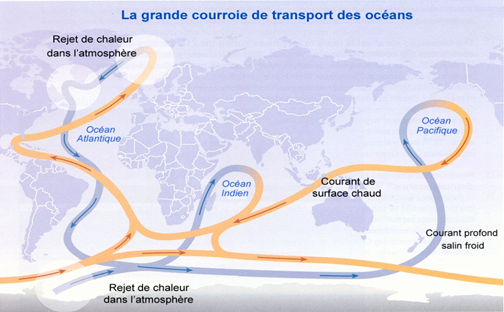La Circulation Thermohaline